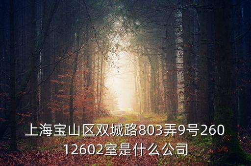 上海柏智方德是什么公司，上海寶山區(qū)雙城路803弄9號(hào)26012602室是什么公司