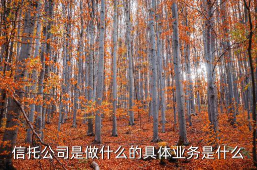 信托公司是做什么的具體業(yè)務(wù)是什么