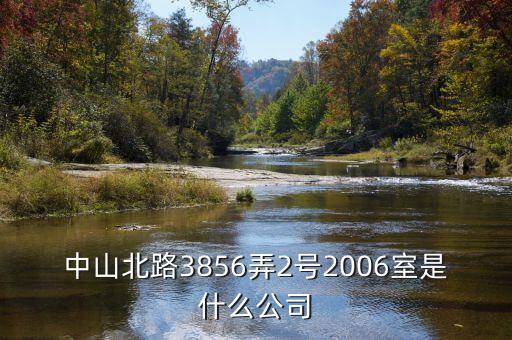 中山北路3856弄2號2006室是什么公司