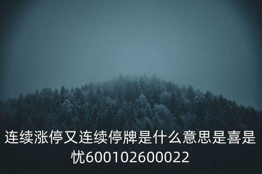 600139連續(xù)停牌是什么意思，股票連續(xù)停牌是什么意思