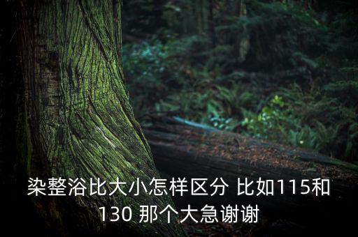 染整浴比大小怎樣區(qū)分 比如115和130 那個大急謝謝