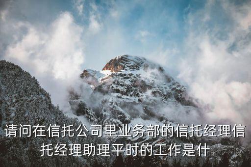 信托公司業(yè)務(wù)部做什么，請(qǐng)問在信托公司里業(yè)務(wù)部的信托經(jīng)理信托經(jīng)理助理平時(shí)的工作是什