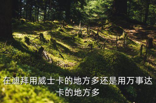 在迪拜用威士卡的地方多還是用萬事達(dá)卡的地方多