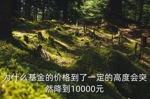 為什么基金的價(jià)格到了一定的高度會(huì)突然降到10000元