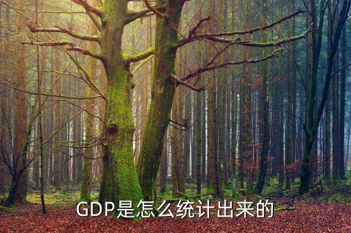 中國GDP統(tǒng)計方法主要是什么，中國的GDP是怎樣統(tǒng)計的