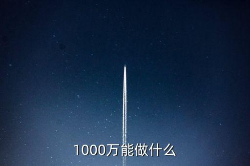 投資1000萬能做什么，1000W能做什么