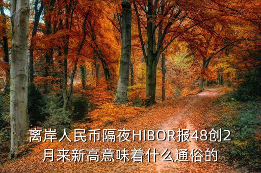 離岸人民幣隔夜HIBOR報(bào)48創(chuàng)2月來新高意味著什么通俗的