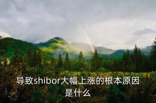 導(dǎo)致shibor大幅上漲的根本原因是什么