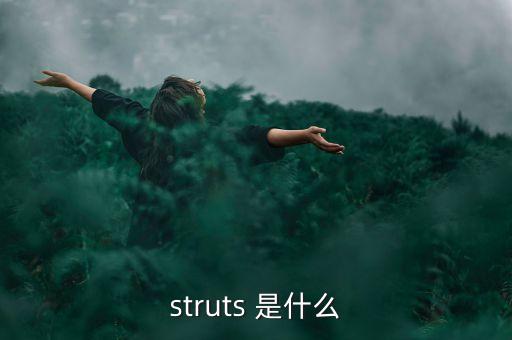 什么是中植系，struts 是什么