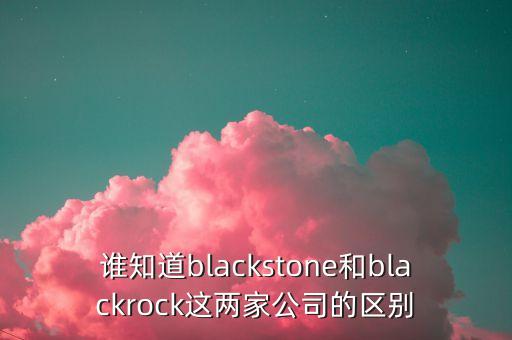 誰(shuí)知道blackstone和blackrock這兩家公司的區(qū)別