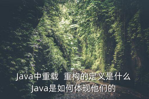 Java中重載  重構(gòu)的定義是什么Java是如何體現(xiàn)他們的