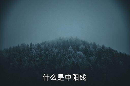 什么是中陽線