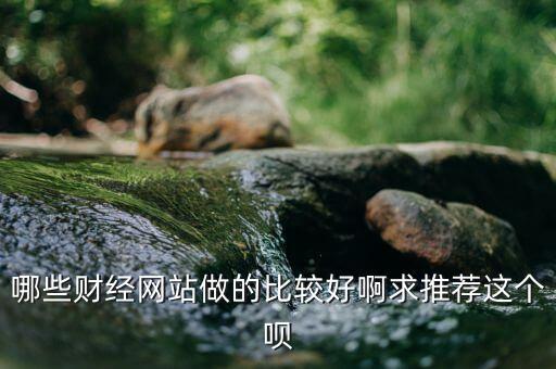 什么財經(jīng)網(wǎng)站好，哪些財經(jīng)網(wǎng)站做的比較好啊求推薦這個唄