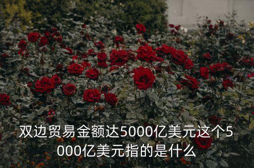 雙邊貿(mào)易金額達(dá)5000億美元這個(gè)5000億美元指的是什么