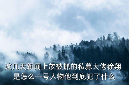 徐翔為什么會抓，澤熙投資徐翔為什么被抓徐翔被抓后私募怎么辦