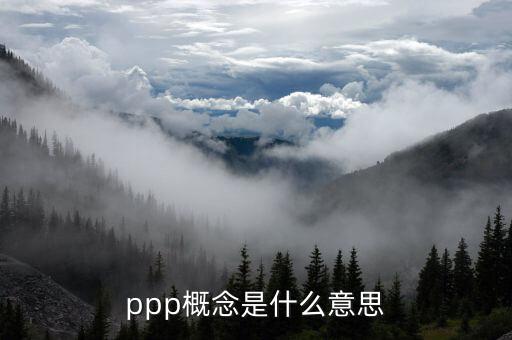 ppp引導(dǎo)基金什么意思，ppp概念是什么意思