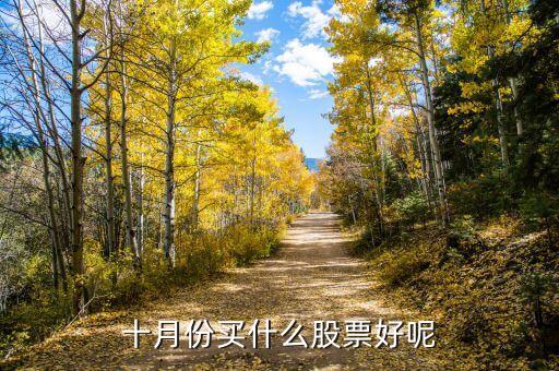 10月19日買什么股，2015年10月19日股民李先生以每股1825元的價(jià)格買進(jìn)某股票100股