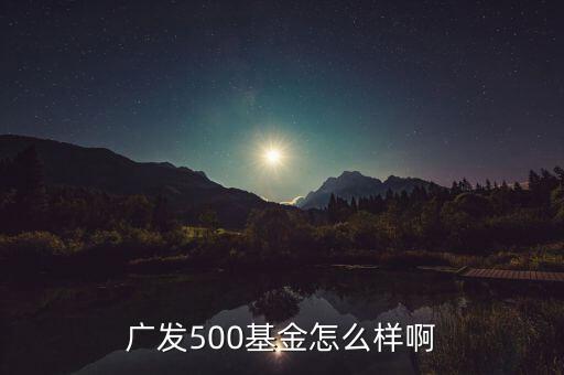 廣發(fā)500凈值為什么很低，廣發(fā)500基金怎么樣啊