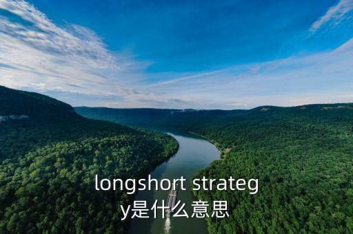 longshort strategy是什么意思