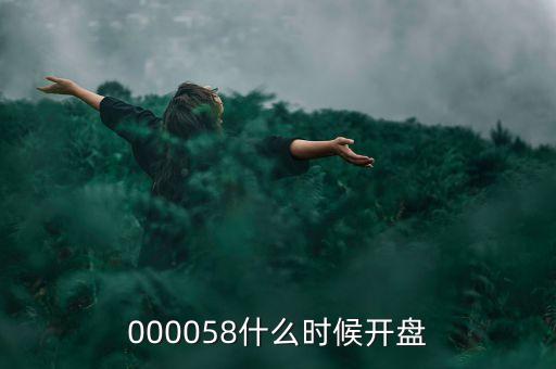 000058什么時(shí)候開(kāi)盤(pán)