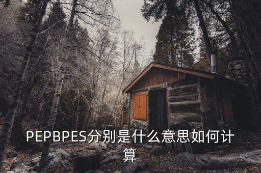 PEPBPES分別是什么意思如何計算