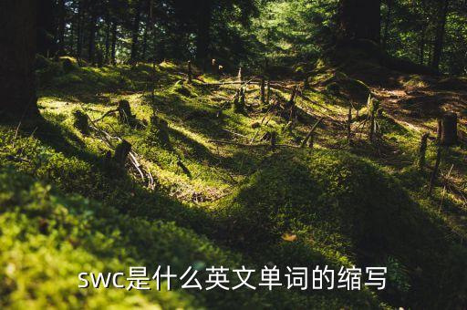 深港這個(gè)詞什么意思，swc是什么英文單詞的縮寫