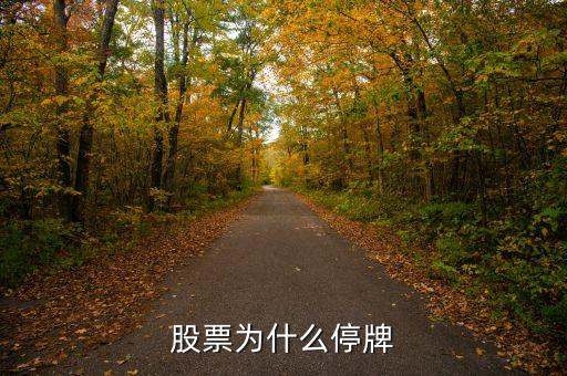 百川股份為什么停牌，600252為何又停牌