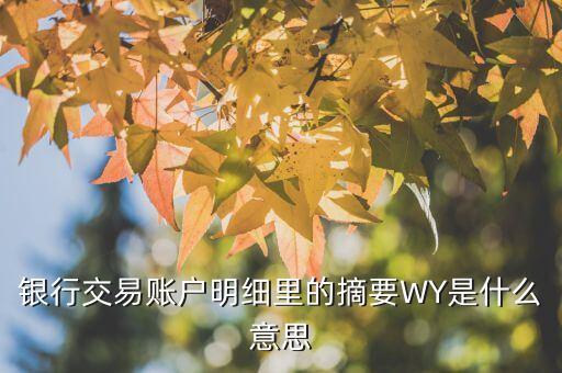 銀行交易賬戶(hù)明細(xì)里的摘要WY是什么意思