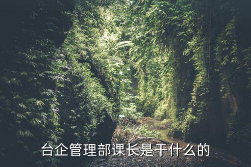 臺(tái)企管理部課長(zhǎng)是干什么的