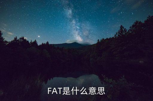 fatca指什么，F(xiàn)AT是什么意思