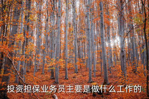 投資擔保主要做什么的，投資擔保業(yè)務(wù)員主要是做什么工作的