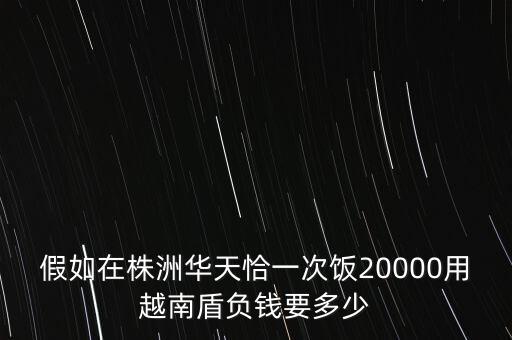 假如在株洲華天恰一次飯20000用越南盾負錢要多少