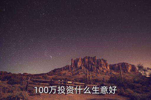 100萬(wàn)投資什么生意好