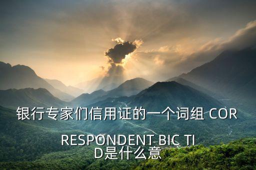 銀行專家們信用證的一個詞組 CORRESPONDENT BIC TID是什么意