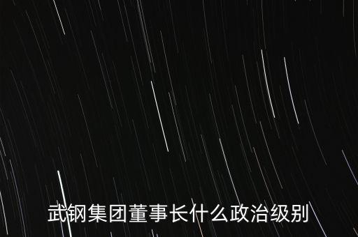 武鋼集團(tuán)董事長(zhǎng)什么政治級(jí)別