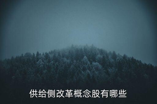 供給側(cè)利好什么板塊，供給側(cè)改革概念股有哪些