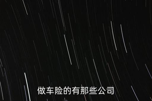 做車險(xiǎn)的有那些公司