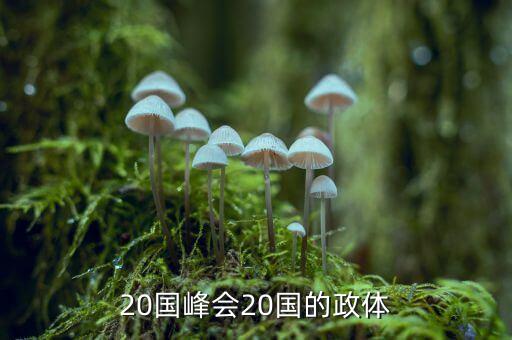 20國峰會(huì)20國的政體