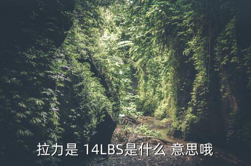 拉力是 14LBS是什么 意思哦