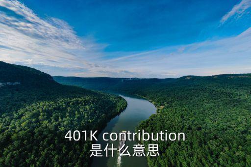 401K contribution是什么意思