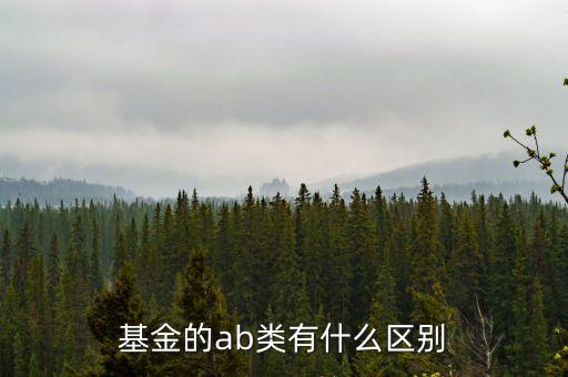 基金的ab類有什么區(qū)別