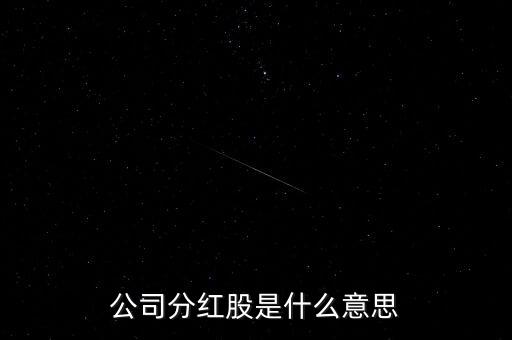 公司分紅股是什么意思