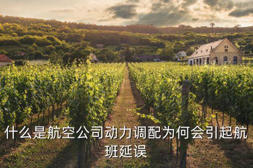 什么是航空公司動力調(diào)配為何會引起航班延誤