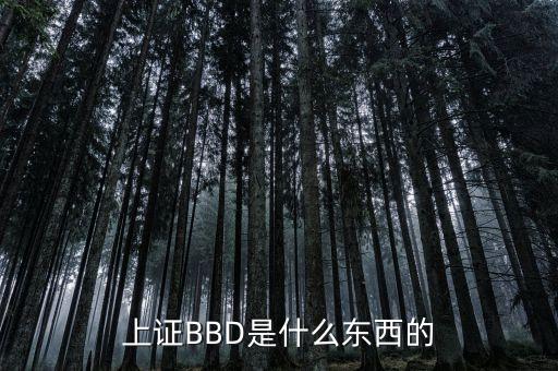 bbd凈差是什么意思，上證BBD是什么東西的