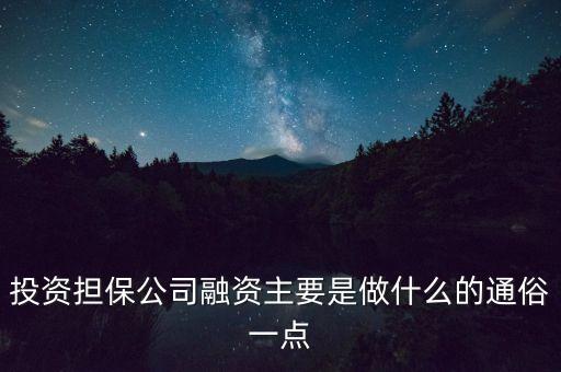 投資擔(dān)保公司融資主要是做什么的通俗一點(diǎn)