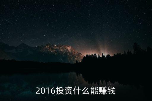 2016投資什么能賺錢