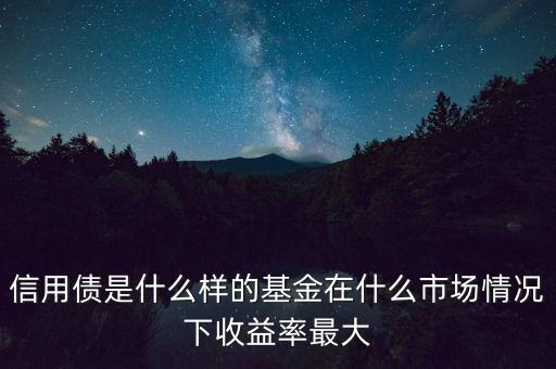 信用債是什么樣的基金在什么市場(chǎng)情況下收益率最大