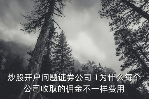 炒股開戶問題證券公司 1為什么每個(gè)公司收取的傭金不一樣費(fèi)用