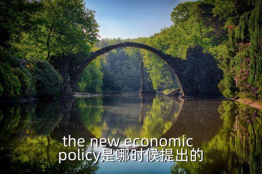 the new economic policy是哪時候提出的