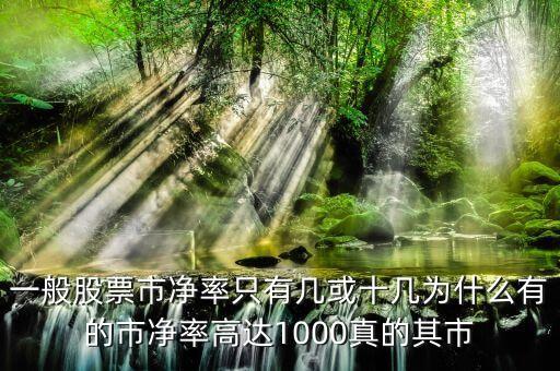 一般股票市凈率只有幾或十幾為什么有的市凈率高達(dá)1000真的其市